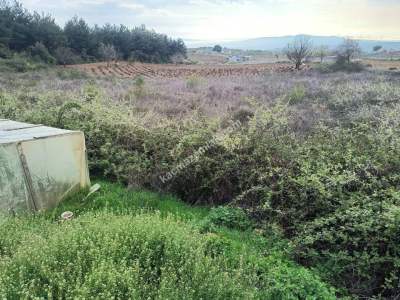 Tekirdağ Şarköy İğdebağları Mahallesi Satılık Tarla 8