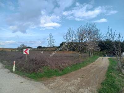 Tekirdağ Şarköy İğdebağları Mahallesi Satılık Tarla 9