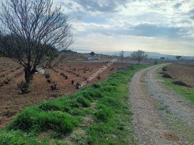 Tekirdağ Şarköy İğdebağları Mahallesi Satılık Tarla 10
