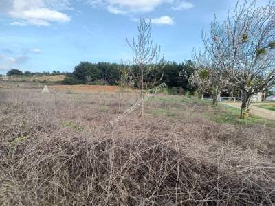 Tekirdağ Şarköy İğdebağları Mahallesi Satılık Tarla 11