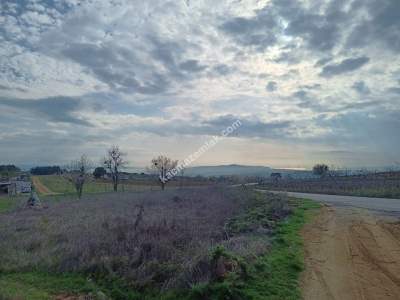 Tekirdağ Şarköy İğdebağları Mahallesi Satılık Tarla 1