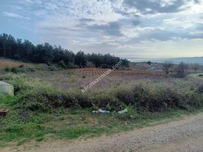 Tekirdağ Şarköy İğdebağları Mahallesi Satılık Tarla 6