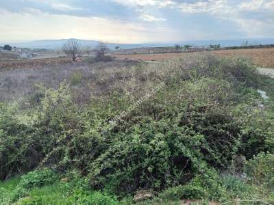Tekirdağ Şarköy İğdebağları Mahallesi Satılık Tarla 13