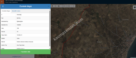 Tekirdağ Şarköy İğdebağları Mahallesi Satılık Zeytinlik 13