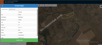 Tekirdağ Şarköy İğdebağları Mahallesi Satılık Zeytinlik 9
