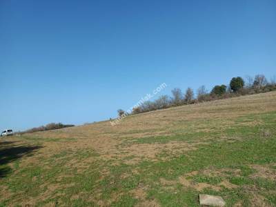 Tekirdağ Şarköy İshaklı Mahallesi Satılık Çiftlik Arazi 9