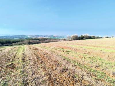 Tekirdağ Şarköy İshaklı Mahallesi Satılık Çiftlik Arazi 3