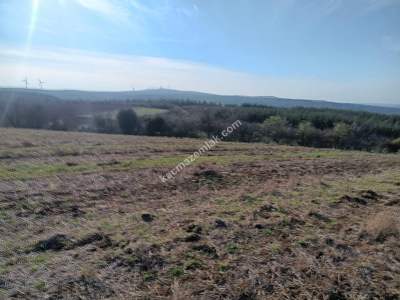 Tekirdağ Şarköy İshaklı Mahallesi Satılık Çiftlik Arazi 4