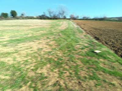 Tekirdağ Şarköy İshaklı Mahallesi Satılık Çiftlik Arazi 10
