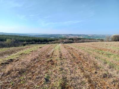 Tekirdağ Şarköy İshaklı Mahallesi Satılık Çiftlik Arazi 2