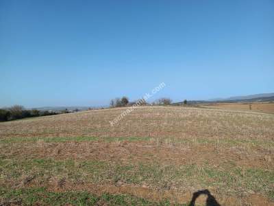 Tekirdağ Şarköy İshaklı Mahallesi Satılık Çiftlik Arazi 6