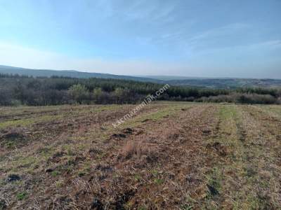 Tekirdağ Şarköy İshaklı Mahallesi Satılık Çiftlik Arazi 1