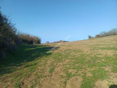 Tekirdağ Şarköy İshaklı Mahallesi Satılık Çiftlik Arazi 8