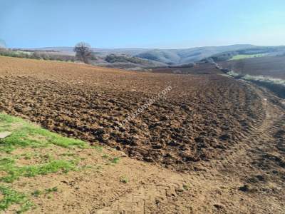 Tekirdağ Şarköy İshaklı Mahallesi Satılık Çiftlik Arazi 12
