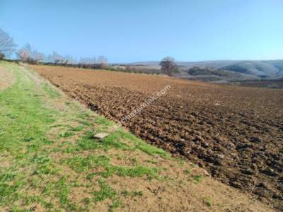 Tekirdağ Şarköy İshaklı Mahallesi Satılık Çiftlik Arazi 11