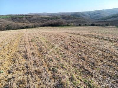 Tekirdağ Şarköy İshaklı Mahallesi Satılık Çiftlik Arazi 7