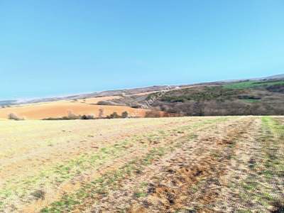 Tekirdağ Şarköy İshaklı Mahallesi Satılık Çiftlik Arazi 5