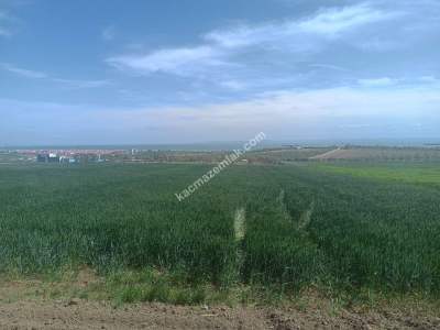 Tekirdağ Şarköy İstiklal Mahallesi Satılık İmara Yakın 3