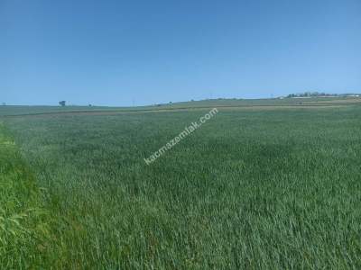Tekirdağ Şarköy İstiklal Mahallesi Satılık İmara Yakın 2