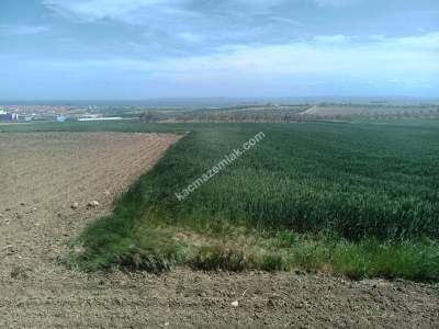 Tekirdağ Şarköy İstiklal Mahallesi Satılık İmara Yakın 1