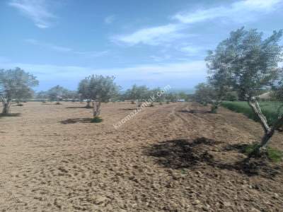 Tekirdağ Şarköy İstiklal Mahallesi Satılık İmara Yakın 7