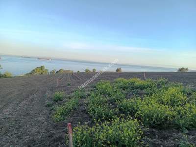 Tekirdağ Şarköy İstiklal Mahallesi Satılık Deniz Kenarı 4