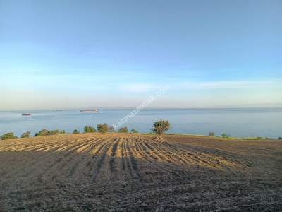 Tekirdağ Şarköy İstiklal Mahallesi Satılık Deniz Kenarı 1