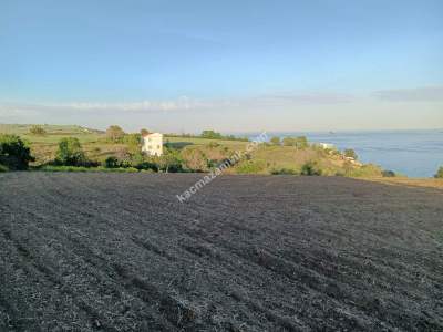 Tekirdağ Şarköy İstiklal Mahallesi Satılık Deniz Kenarı 3