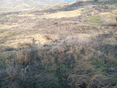 Tekirdağ Şarköy Kirazlı Mahallesi Satılık Tarla 5