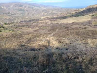 Tekirdağ Şarköy Kirazlı Mahallesi Satılık Tarla 4