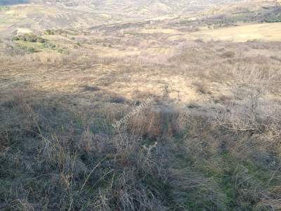 Tekirdağ Şarköy Kirazlı Mahallesi Satılık Tarla 7