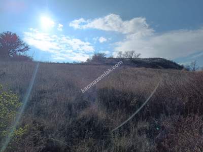 Tekirdağ Şarköy Kirazlı Mahallesi Satılık Tarla 3