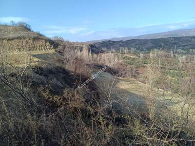 Tekirdağ Şarköy Kirazlı Mahallesi Satılık Tarla 1
