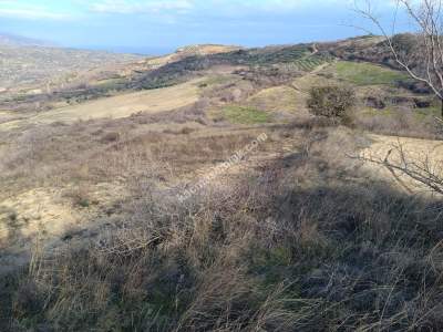 Tekirdağ Şarköy Kirazlı Mahallesi Satılık Tarla 6