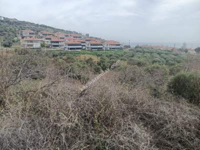 Tekirdağ Şarköy Kirazlı Hoşköy Hududu Satılık Tarla 1