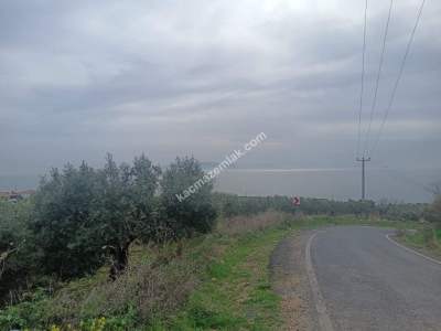 Tekirdağ Şarköy Kirazlı Hoşköy Hududu Satılık Tarla 5