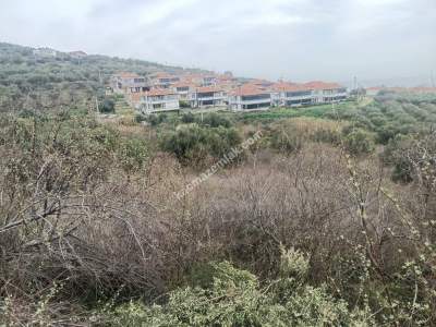 Tekirdağ Şarköy Kirazlı Hoşköy Hududu Satılık Tarla 4