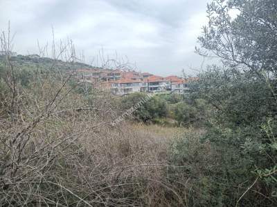 Tekirdağ Şarköy Kirazlı Hoşköy Hududu Satılık Tarla 6