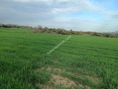 Tekirdağ Şarköy Kızzılcaterzi Mahallesi Satılık Tarla 8