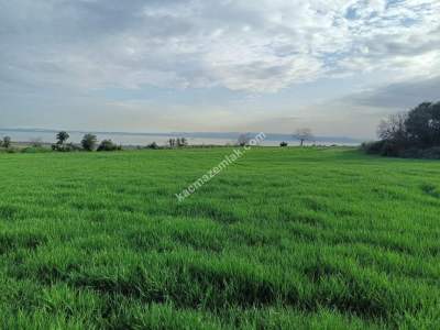 Tekirdağ Şarköy Kızzılcaterzi Mahallesi Satılık Tarla 2