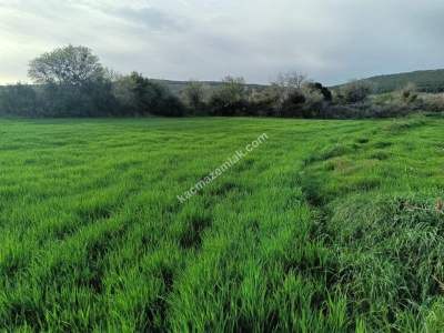 Tekirdağ Şarköy Kızzılcaterzi Mahallesi Satılık Tarla 5