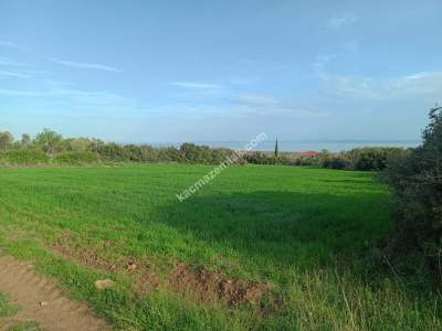 Tekirdağ Şarköy Kızılcaterzi Mahallesi Satılık Tarla 2