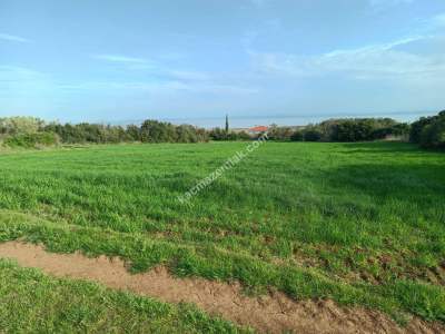 Tekirdağ Şarköy Kızılcaterzi Mahallesi Satılık Tarla 3