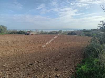 Tekirdağ Şarköy Kızılcaterzi Mahallesi Satılık Tarla 1