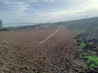 Tekirdağ Şarköy Kızılcaterzi Mahallesi Satılık Tarla 4