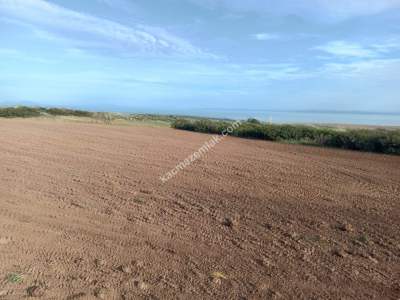 Tekirdağ Şarköy Kızılcaterzi Mahallesi Satılık Tarla 2