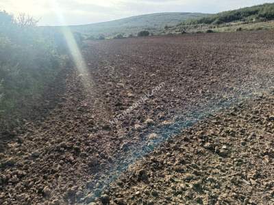 Tekirdağ Şarköy Kızılcaterzi Mahallesi Satılık Tarla 7
