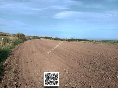 Tekirdağ Şarköy Kızılcaterzi Mahallesi Satılık Tarla 4