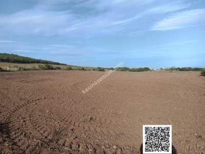 Tekirdağ Şarköy Kızılcaterzi Mahallesi Satılık Tarla 3