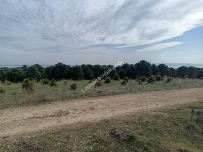 Tekirdağ Şarköy Kocaali Mahallesi Satılık Tarla 8